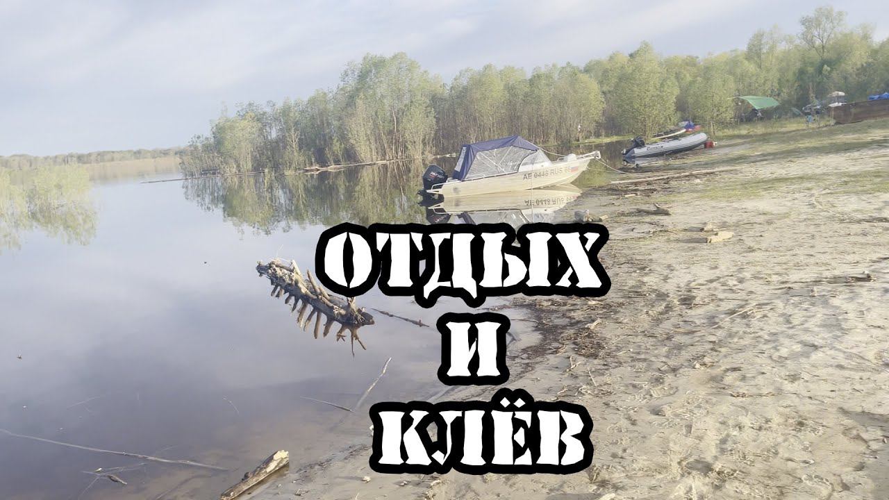 Что делать когда не клюет на рыбалке? смотреть онлайн