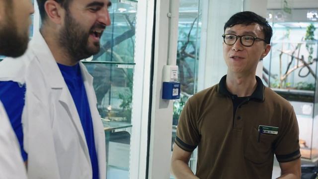 Human Speed vs Animal Speed смотреть онлайн