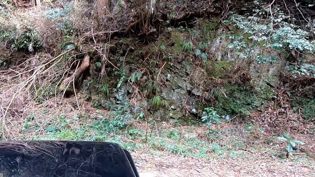 Suzuki Jimny JB64W 林道巡り! 林道は楽しいに決まってる!Jimny Forest Road Tour!