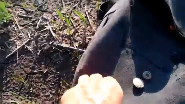 Пуговица с польским орлом смотреть онлайн