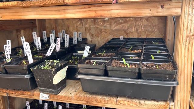 2023 first greenhouse tour смотреть онлайн