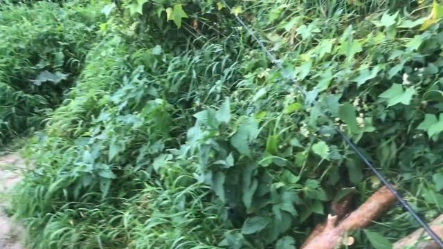 Рыбалка на ОКЕ / КАК НА НОВОМ МЕСТЕ ПОЙМАТЬ ЛЕЩА / ОГРОМНЫЕ ЛЕЩИ / НЕВОЗМОЖНО ПОДНЯТЬ смотреть онлайн