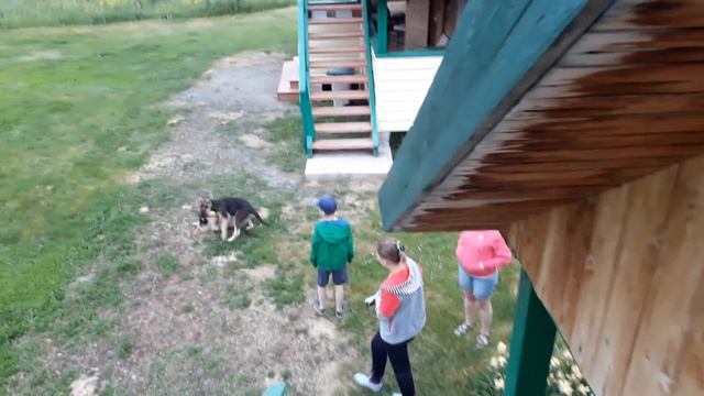 База отдыха "Бобровая заимка" с. Солоновка Алтайский край"20170607 183558 смотреть онлайн