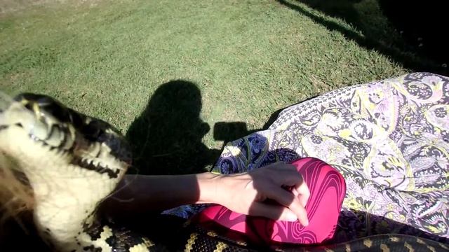 Tough Week But Lily My Carpet Python Brightens My Day. смотреть онлайн
