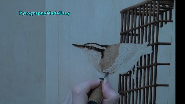 Wood Burning Art - Nuthatch Bird - pyrography time lapse art смотреть онлайн