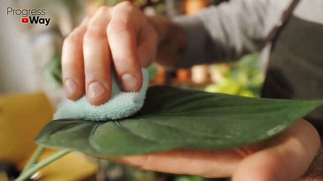 ОБЯЗАТЕЛЬНО В ФЕВРАЛЕ ВНЕСИТЕ ПАРУ КАПЕЛЬ Под Пеларгонию и др. Цветы. Подпитка Для Корней и Цветка! смотреть онлайн