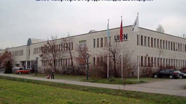 Руконожка Мадагаскарская - подкасты от первого лица №1