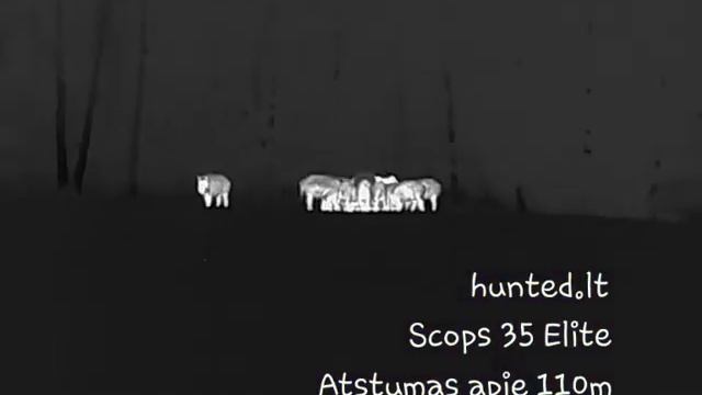 Termovizorius Scops 35 Elite hunted.lt смотреть онлайн