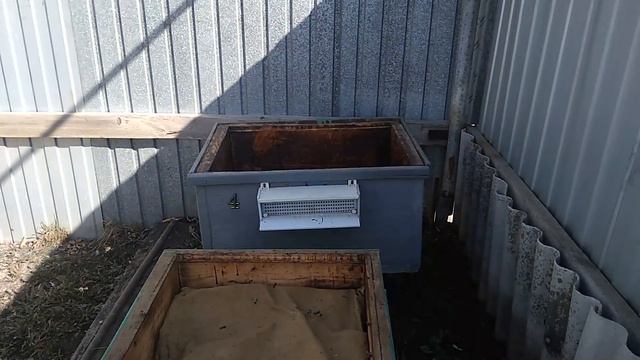 пересадка пчёл в чистые улья весной