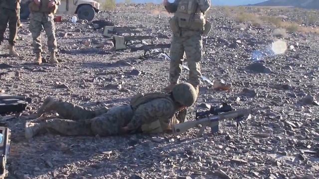 The M110 SASS Suppressed and un-Suppressed смотреть онлайн