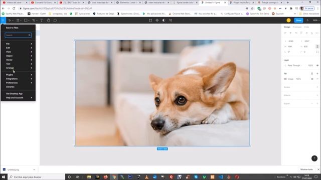 ✅ Cómo crear en Wordpress blobs o gotas de imágenes. смотреть онлайн