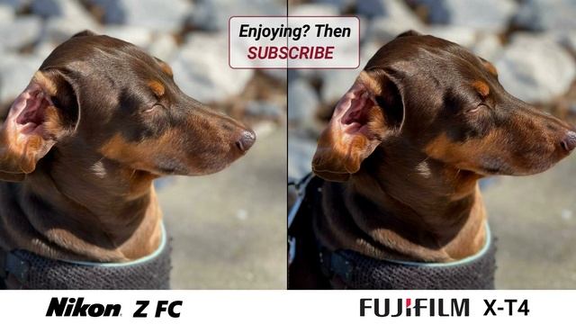 Nikon Z FC VS Fujifilm X-T4 Camera Test Comparison | Which one should you BUY! смотреть онлайн