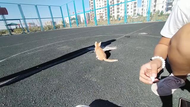 летний день из жизни ♡ мой утро ✨ продуктивной день смотреть онлайн