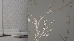 Andrea Rossi Spectrum Pro