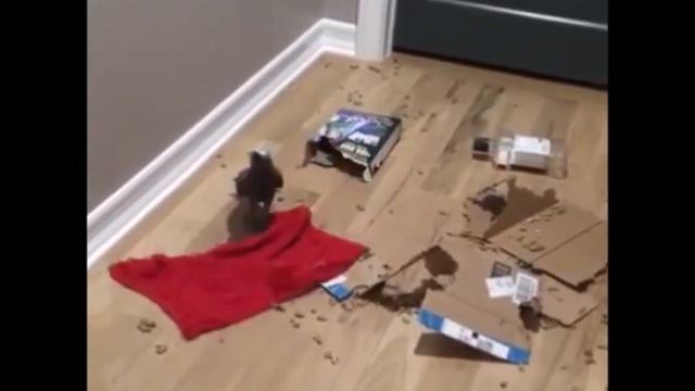 Вот это уборщик! смотреть онлайн