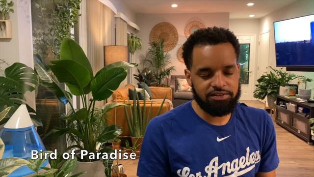 2020 Top 10 Flyyest HousePlants