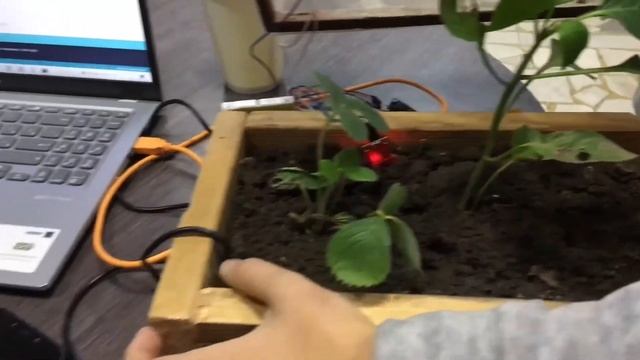 Умная теплица для Агроробофестиваля смотреть онлайн