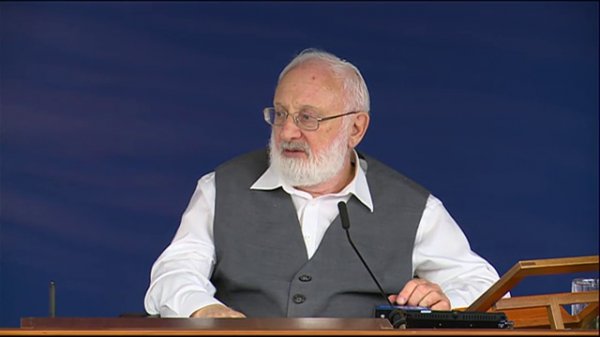 низменность