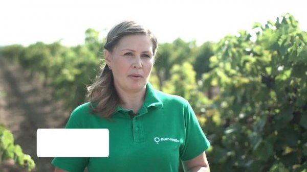 Микробиологические препараты Bionovatic - двухуровневая система питания и защиты.