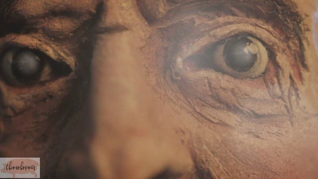 Аполитичный моряк (Apolitical Sailor)