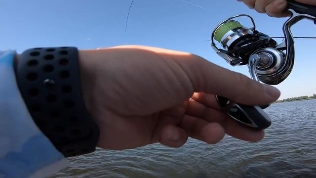 Дельта Днепра! Открытие сезона! Бешеный клев окуня! 19.06.2019 смотреть онлайн