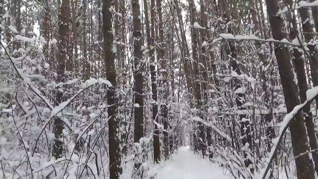 Лес будет стоять. смотреть онлайн