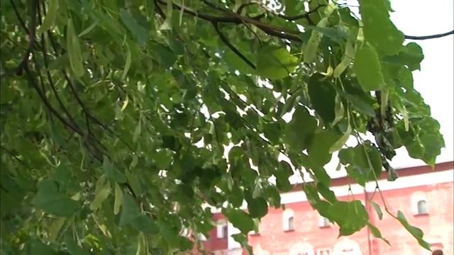 проект "Шекспир на разных языках мира" смотреть онлайн