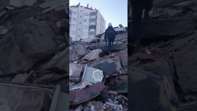 Казахстанские собаки-спасатели в Турции смотреть онлайн