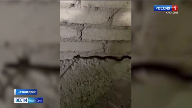В Саяногорске активизировались змеи. 4 человека обратились к врачам с укусами смотреть онлайн