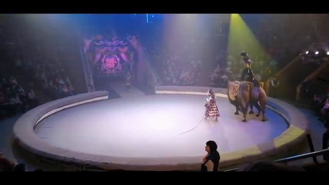 Легендарный Цирк Юрия Никулина!!! Новогодняя сказка!!! смотреть онлайн