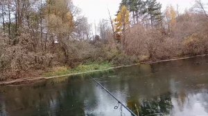 Тестирование спиннинга KAIDA PALADIN тест 3-12 рост 198