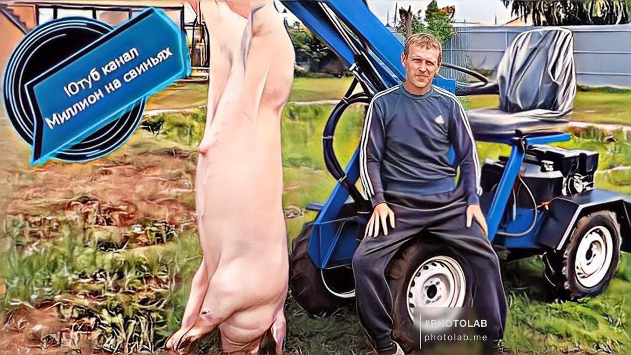 Забой трёх породного гибрида ( F1- Пьетрен-Макстер) смотреть онлайн