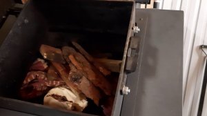 Пробный запуск Котла Неделька Ко-60 на дровах