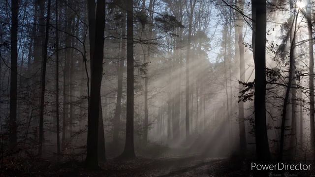 Koji Kondo смотреть онлайн