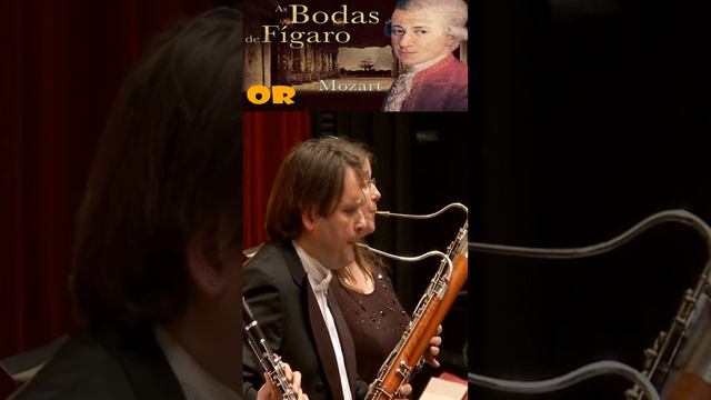 Amadeus Mozart OBERTURA LAS BODAS DE FÍGARO “La Mejor Música Clásica” смотреть онлайн