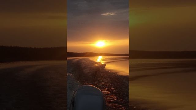 весенний закат.#shorts смотреть онлайн