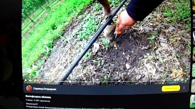 Железов В.К. О смертельных капельных поливах  яблонь. смотреть онлайн