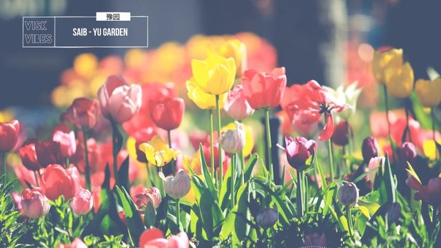 Saib - Yu Garden ( 豫园) смотреть онлайн