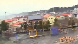 В Японии цунами, странное существо было заснято на камеру