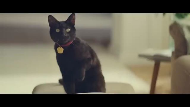 Кетчуп Heinz. Много томатов. Много вкуса. смотреть онлайн