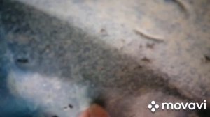 УСТАНОВКА НОВОГО ЛОКЕРА ИЛИ ПОДКРЫЛКА НА ТОЙОТУ КОРОЛЛУ Е 150