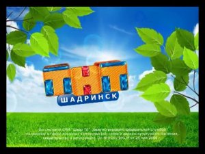 Свидетельство о регистрации #2 - ТНТ-Шадринск (2012)