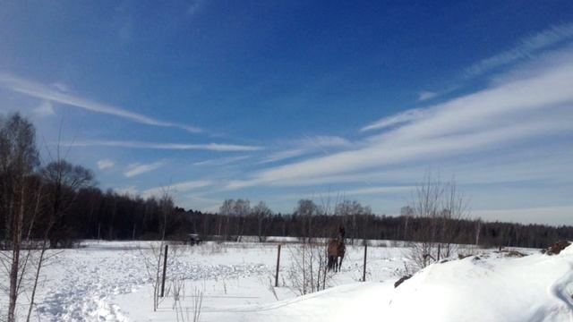 Чеховский виноград и сад в Подмосковье. Знакомство смотреть онлайн