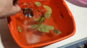 Маринуем мясо бобра для копчения