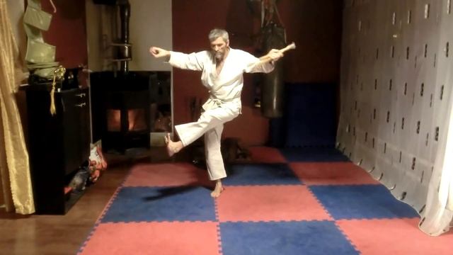 Система боя чхарёк направление орла и змеи & каратэ смотреть онлайн