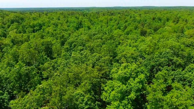 $500 Down and NO Credit Check on this Owner Financed Land for Sale in Missouri! 10 Acres! ID#MP04 смотреть онлайн