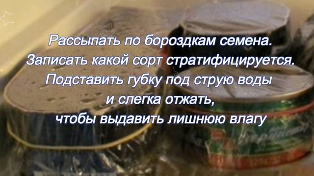 Промораживаем семена смотреть онлайн