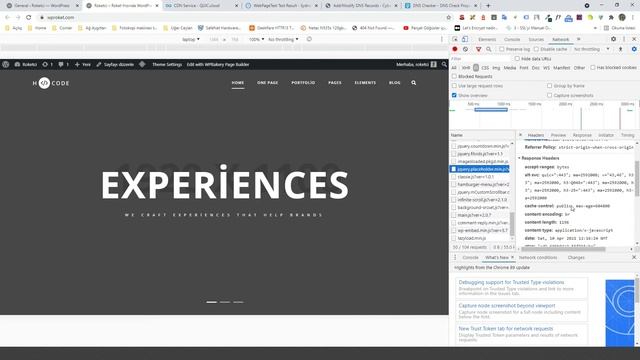 Quic Cloud CDN Kurulumu ve Ayarları смотреть онлайн