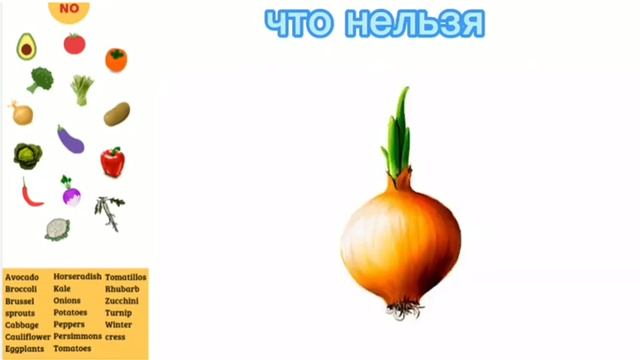 Что нельзя лошадям.? ?? смотреть онлайн