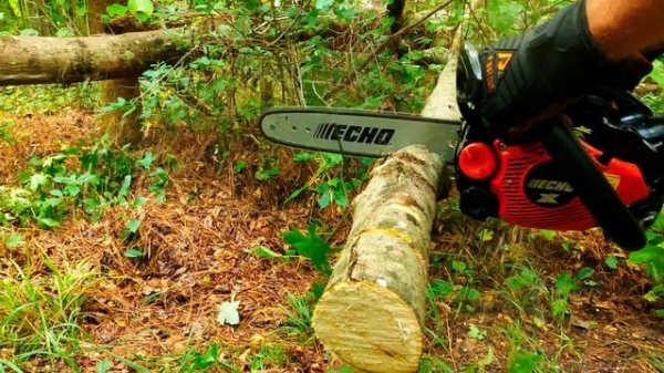 The Echo 2511t Top Handle Chainsaw